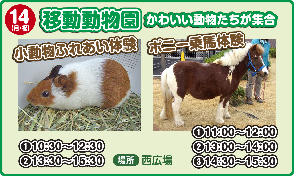 移動動物園