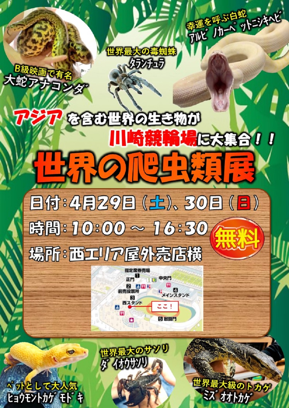 爬虫類展