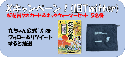 Xキャンペーン
