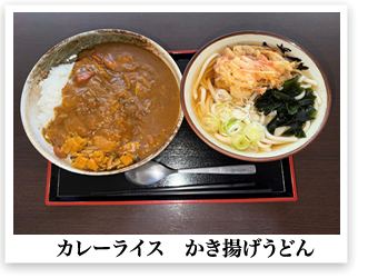 カレーライス かき揚げうどん